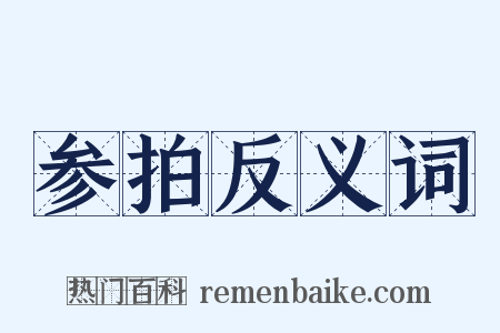 参拍反义词是什么意思的图片